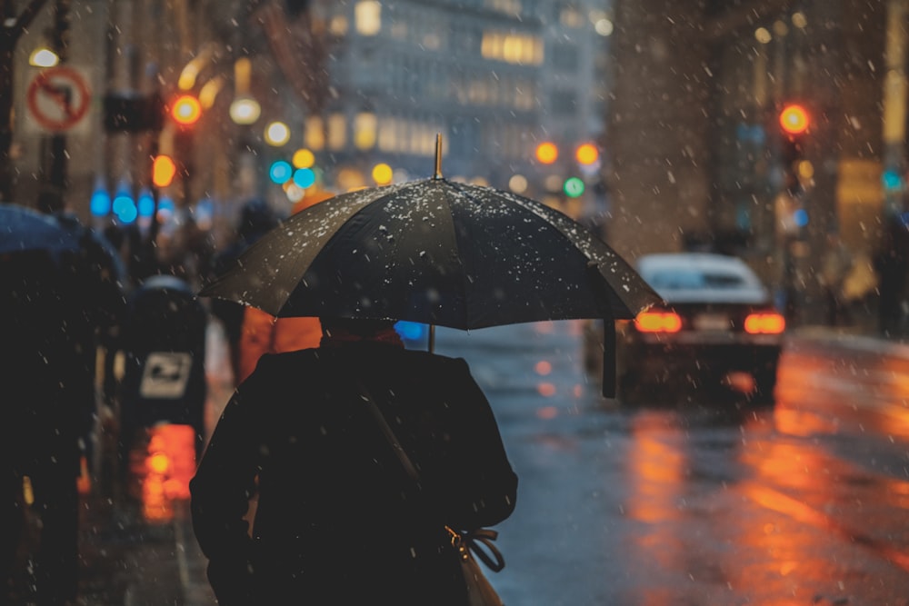 Monsoon-Proofing Your Home: Dampness Prevention Tips